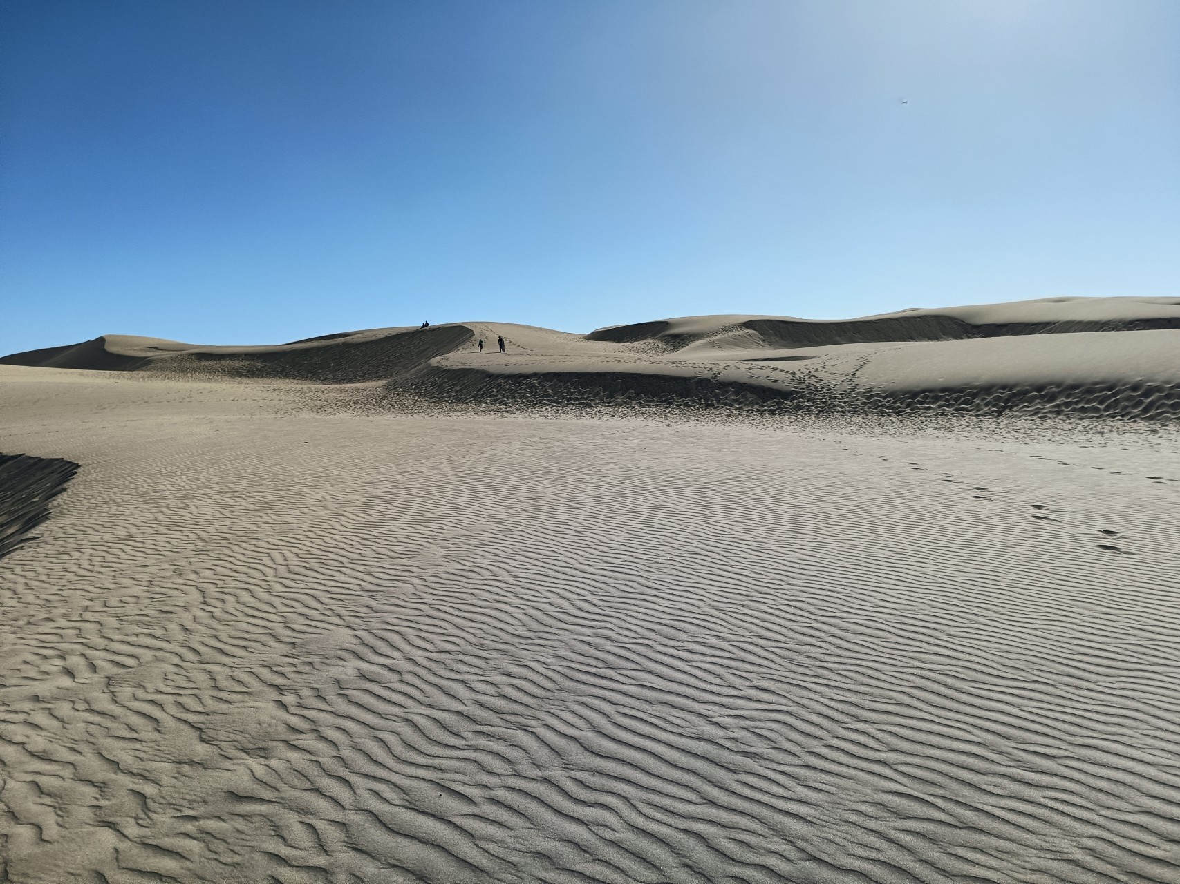 Pacific Dunes